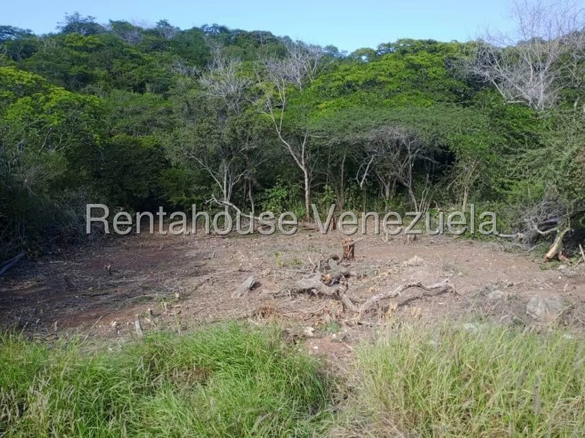 Terreno (Residencial) en Venta en Guatamare, Nueva Esparta - 6
