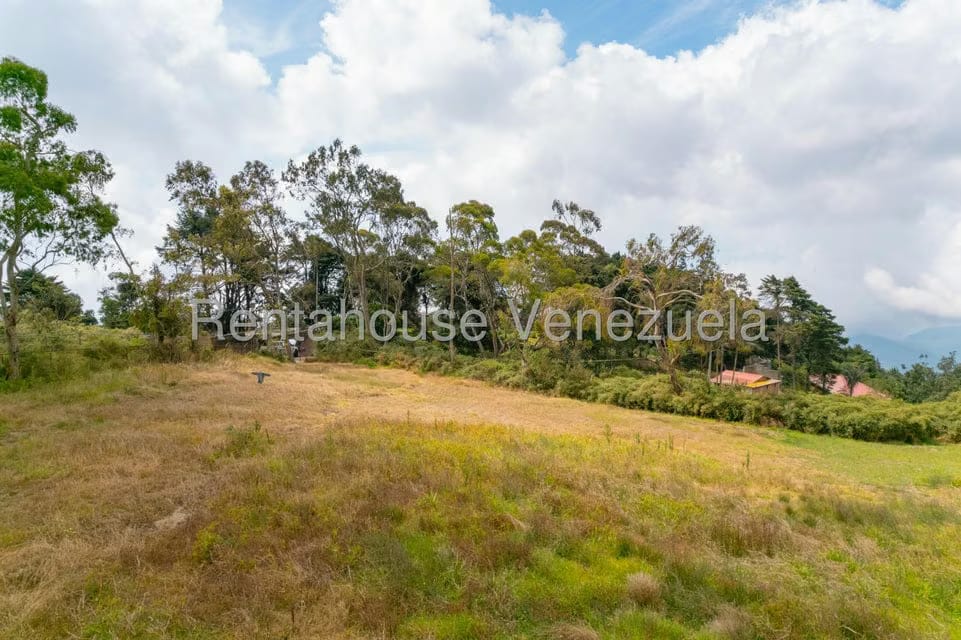Casa (Hacienda) en Venta en El Junquito, Distrito Metropolitano - 13