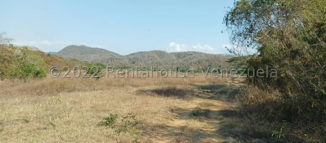 Terreno (Finca) en Venta en La Campina, Lara - 2