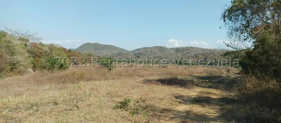 Terreno (Finca) en Venta en La Campina, Lara - 5
