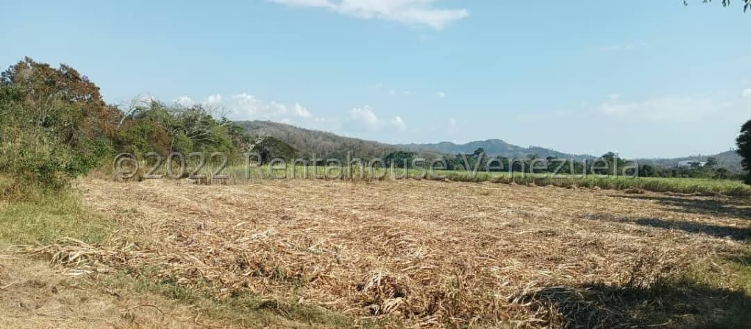 Terreno (Finca) en Venta en La Campina, Lara - 8