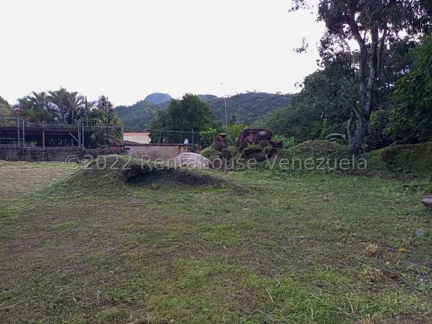 Terreno (Comercial) en Venta en El Limon, Aragua - 13
