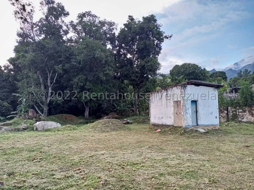 Terreno (Comercial) en Venta en El Limon, Aragua - 5