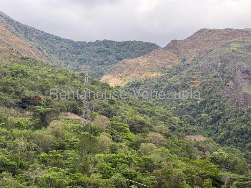 Apartamento (Penthouse) en Venta en Terrazas del Avila, Distrito Metropolitano - 49