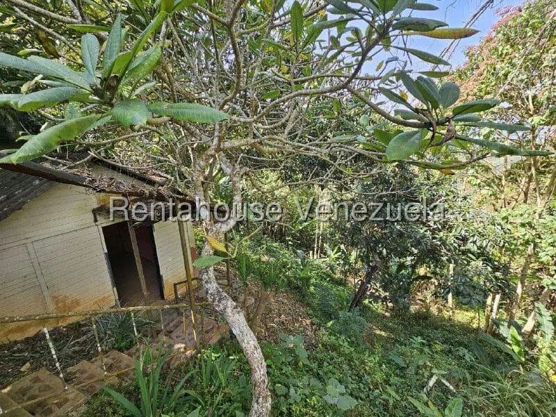 Casa (1 Nivel) en Venta en Gavilan, Distrito Metropolitano - 20