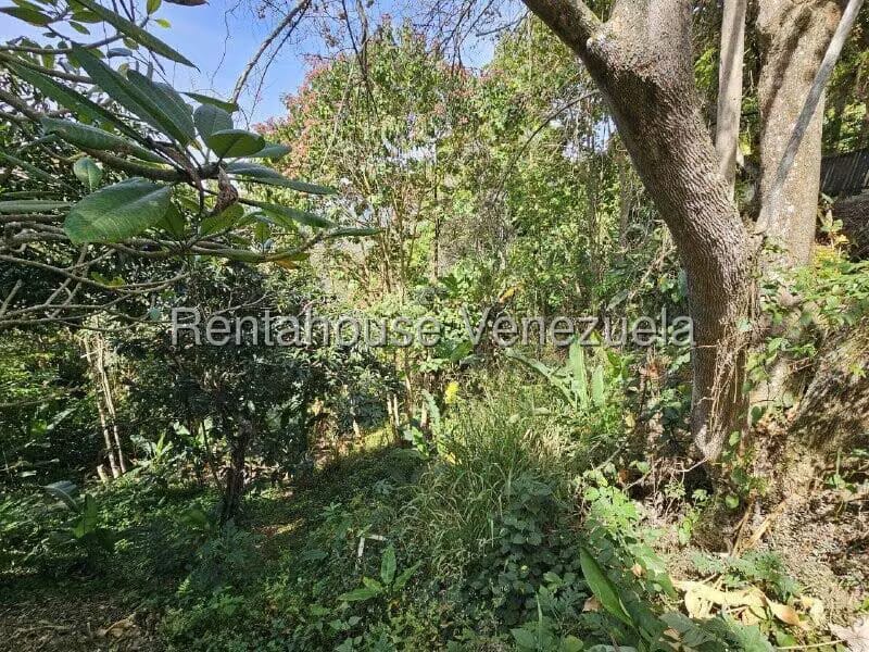 Casa (1 Nivel) en Venta en Gavilan, Distrito Metropolitano - 21