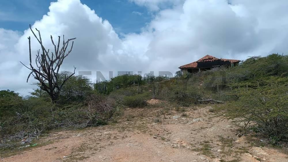 En venta terreno En los Robles, Isla de Margarita - 2
