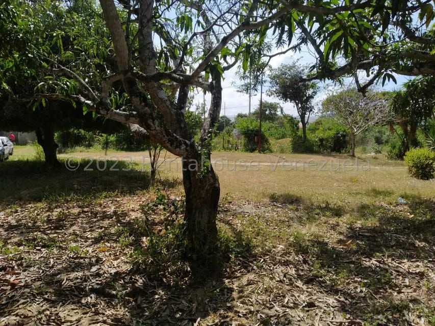 Terreno (Residencial) en Venta en La Montanita, Lara - 7