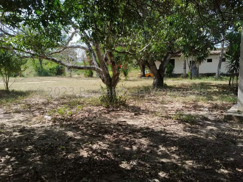 Terreno (Residencial) en Venta en La Montanita, Lara - 8