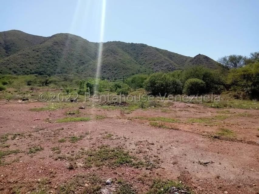 Terreno (Finca) en Venta en Juangriego, Nueva Esparta - 4