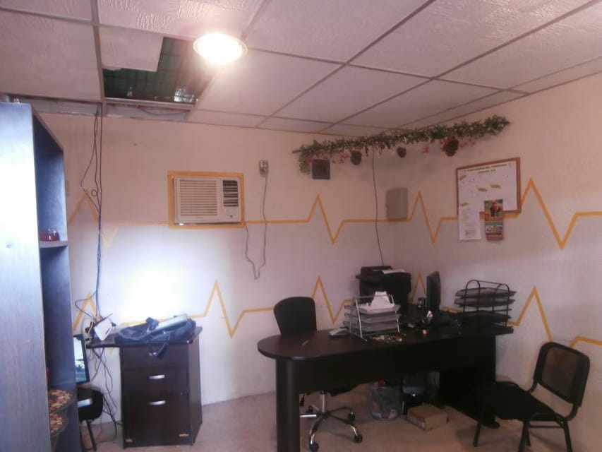 Comercial (Galpon - Deposito) en Alquiler en La N, Zulia - 17