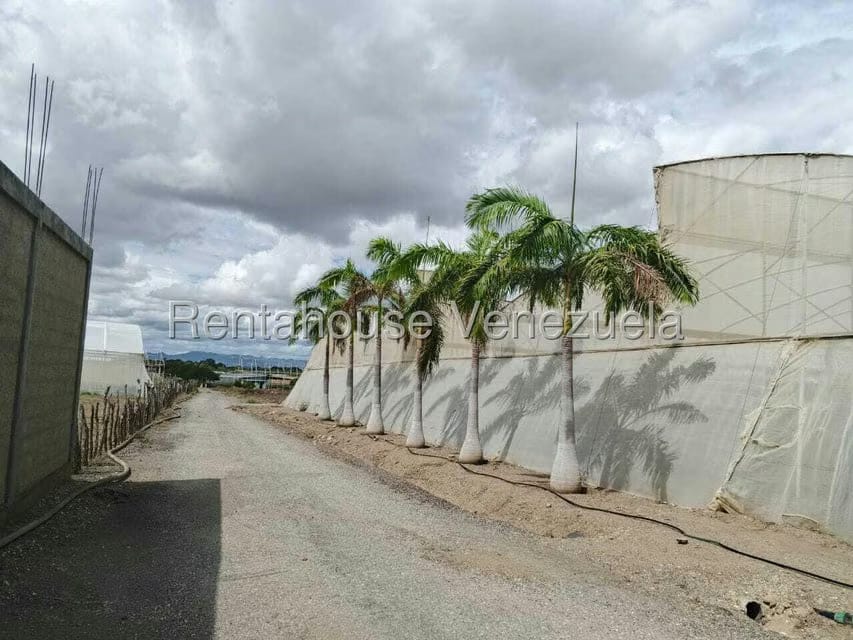 Terreno (Finca) en Venta en Municipio Jimenez, Lara - 29