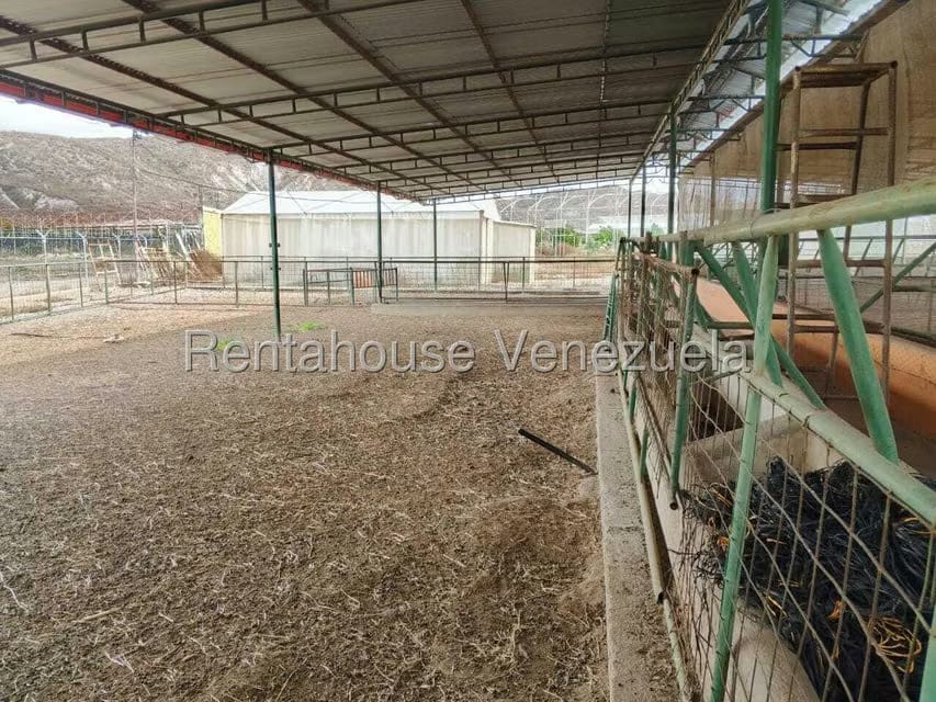 Terreno (Finca) en Venta en Municipio Jimenez, Lara - 31
