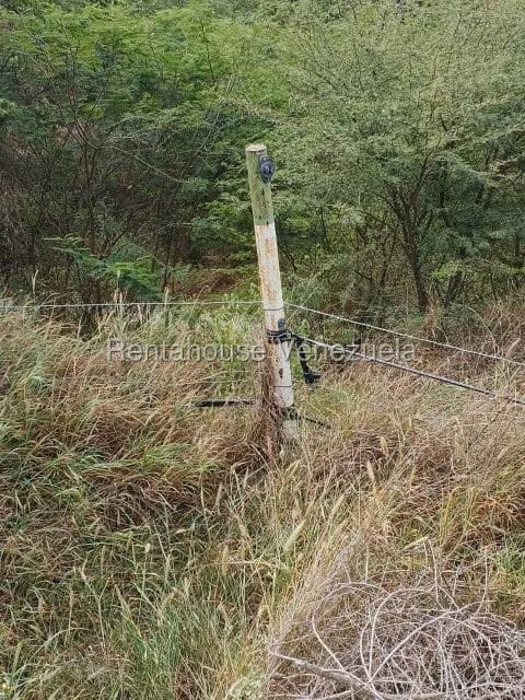 Terreno (Finca) en Venta en Municipio Jimenez, Lara - 38