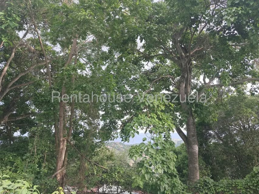 Comercial (Galpon - Deposito) en Venta en Vista Real, Miranda - 11