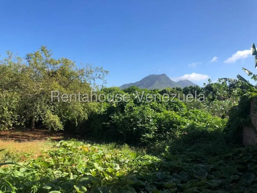 Casa (1 Nivel) en Venta en Aricagua, Nueva Esparta - 7