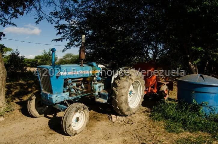 Terreno (Finca) en Venta en Municipio Jimenez, Lara - 11