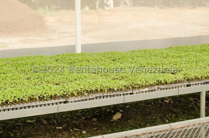 Terreno (Finca) en Venta en Municipio Jimenez, Lara - 21