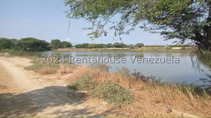 Terreno (Finca) en Venta en Municipio Jimenez, Lara - 24