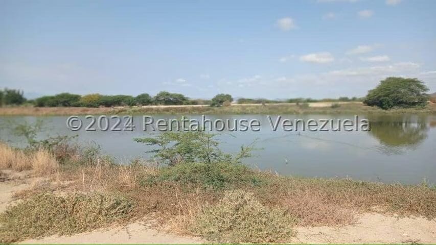 Terreno (Finca) en Venta en Municipio Jimenez, Lara - 28