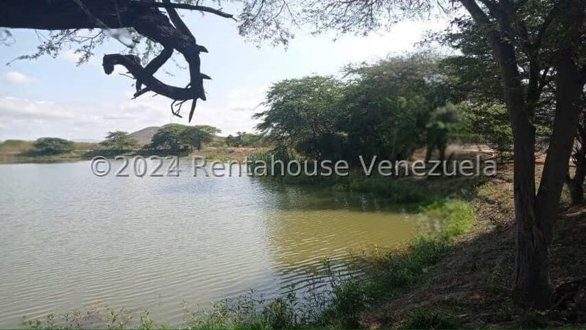Terreno (Finca) en Venta en Municipio Jimenez, Lara - 31