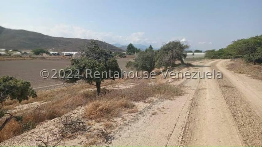 Terreno (Finca) en Venta en Municipio Jimenez, Lara - 38
