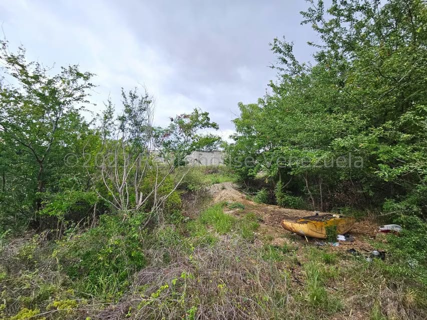 Terreno (Comercial) en Venta en Ave Intercomunal, Lara - 11