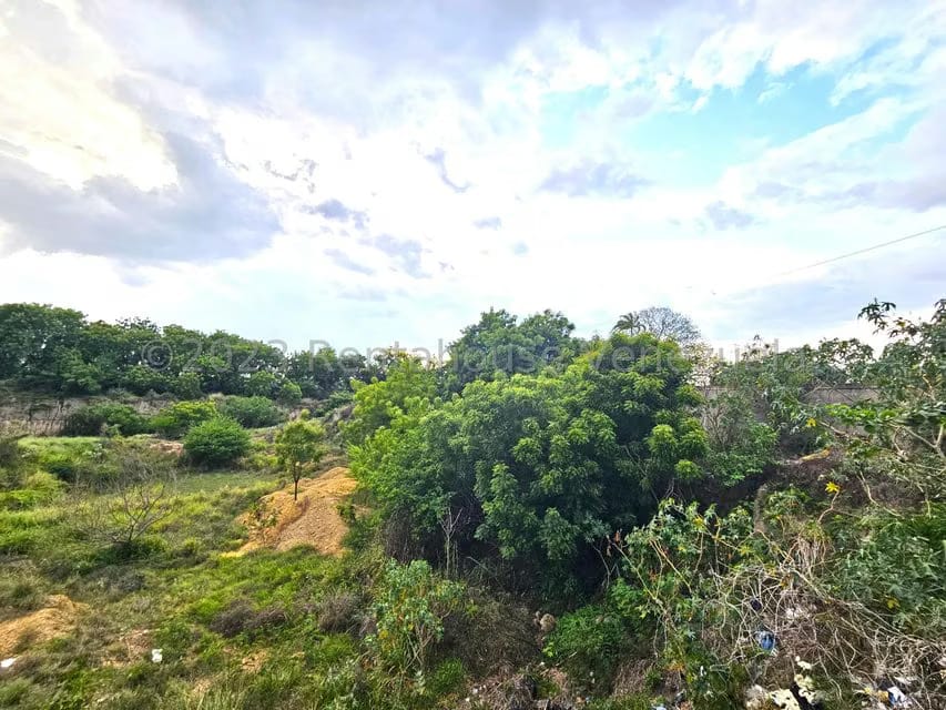 Terreno (Comercial) en Venta en Ave Intercomunal, Lara - 14