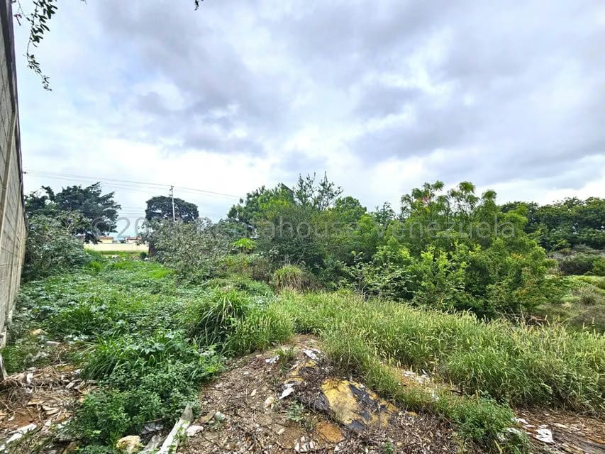 Terreno (Comercial) en Venta en Ave Intercomunal, Lara - 3