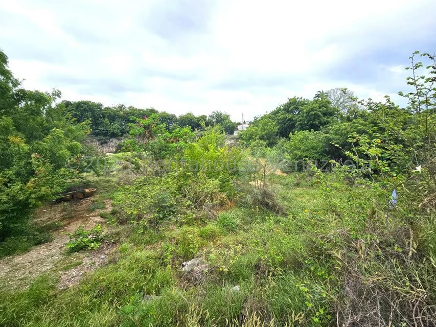 Terreno (Comercial) en Venta en Ave Intercomunal, Lara - 5