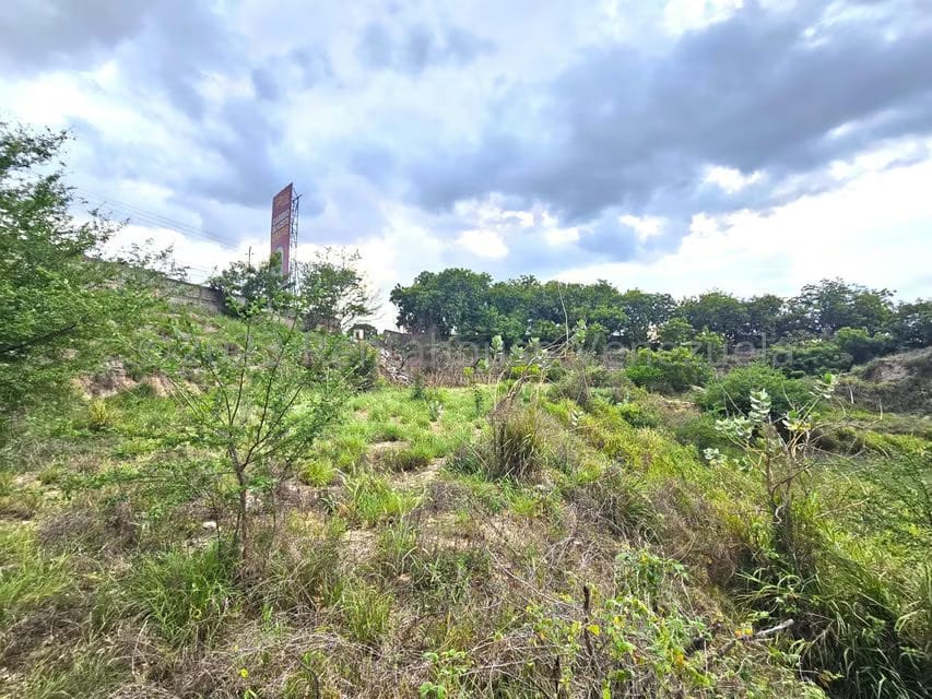 Terreno (Comercial) en Venta en Ave Intercomunal, Lara - 10