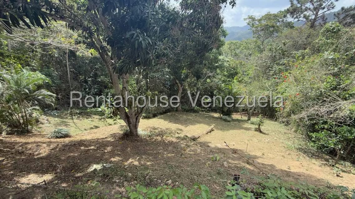 Casa (1 Nivel) en Venta en Oripoto, Distrito Metropolitano - 13