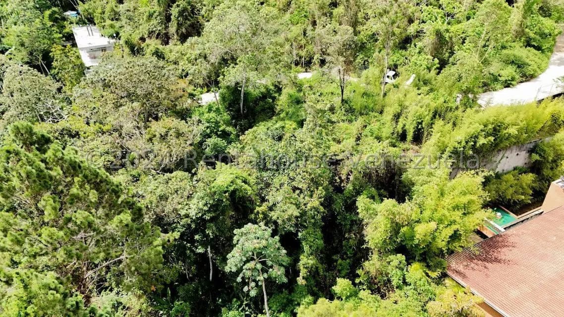 Terreno (Residencial) en Venta en Alto Hatillo, Distrito Metropolitano - 12