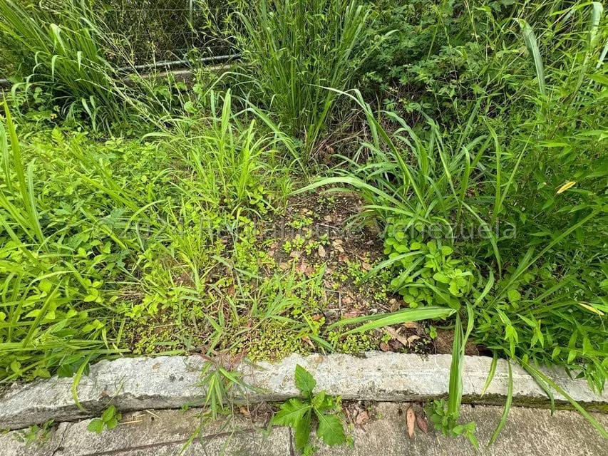 Terreno (Residencial) en Venta en Alto Hatillo, Distrito Metropolitano - 14