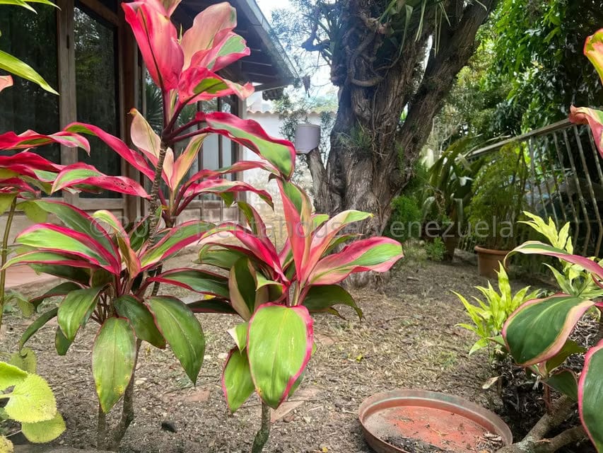 Casa (Duplex) en Venta en La Boyera, Distrito Metropolitano - 50