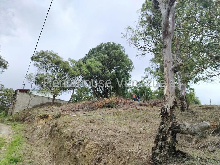 Terreno (Residencial) en Venta en El Junko Country Club, Vargas - 2