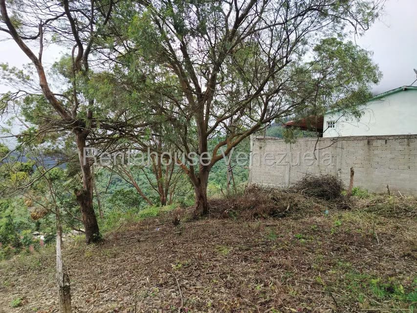 Terreno (Residencial) en Venta en El Junko Country Club, Vargas - 11