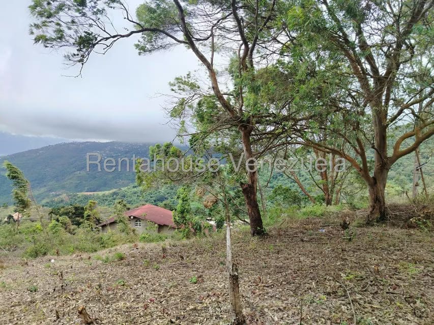 Terreno (Residencial) en Venta en El Junko Country Club, Vargas - 12