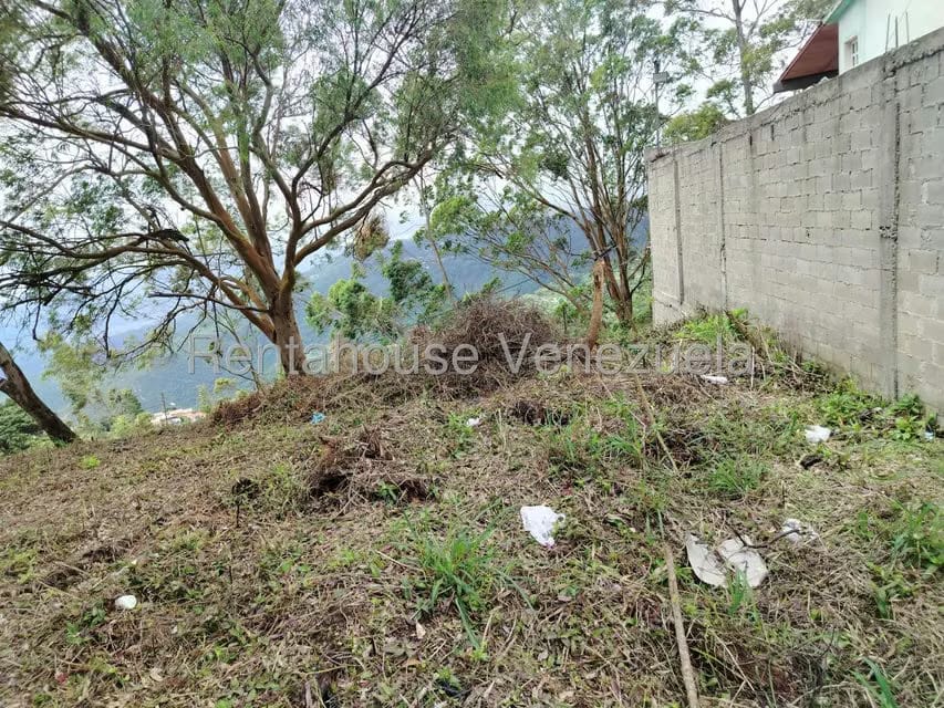Terreno (Residencial) en Venta en El Junko Country Club, Vargas - 15