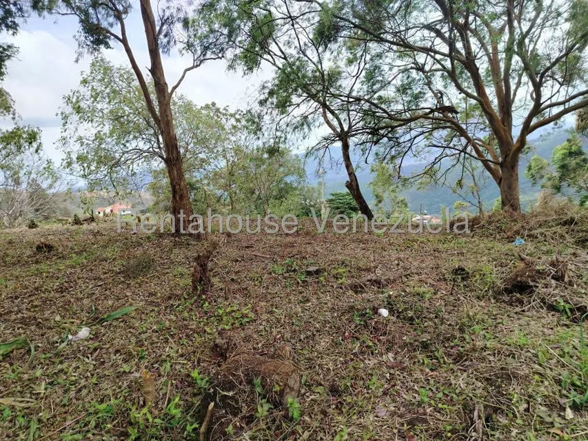 Terreno (Residencial) en Venta en El Junko Country Club, Vargas - 16