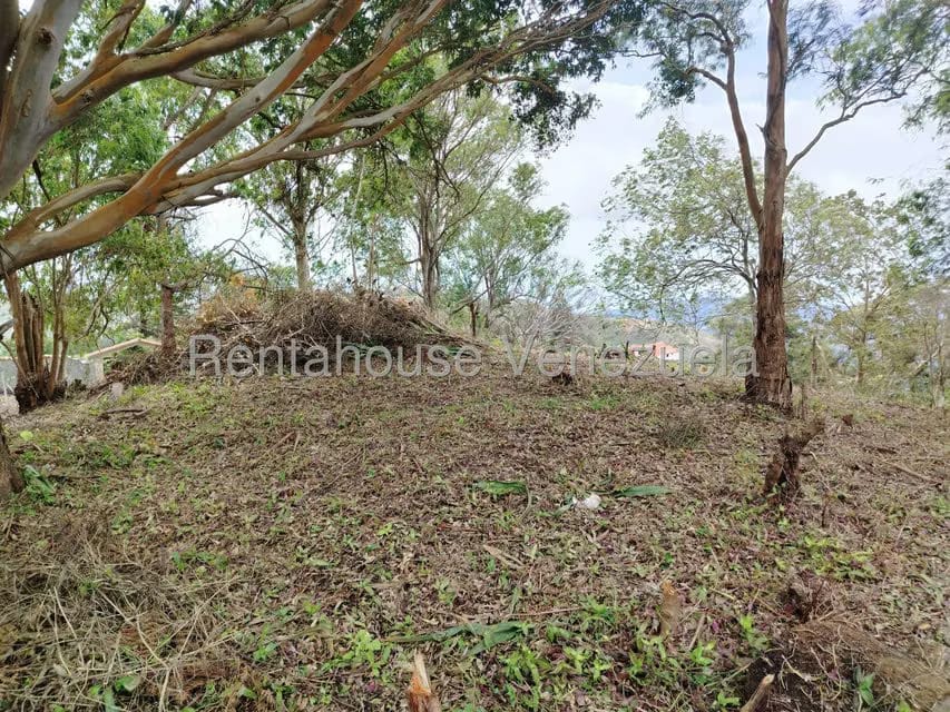 Terreno (Residencial) en Venta en El Junko Country Club, Vargas - 19