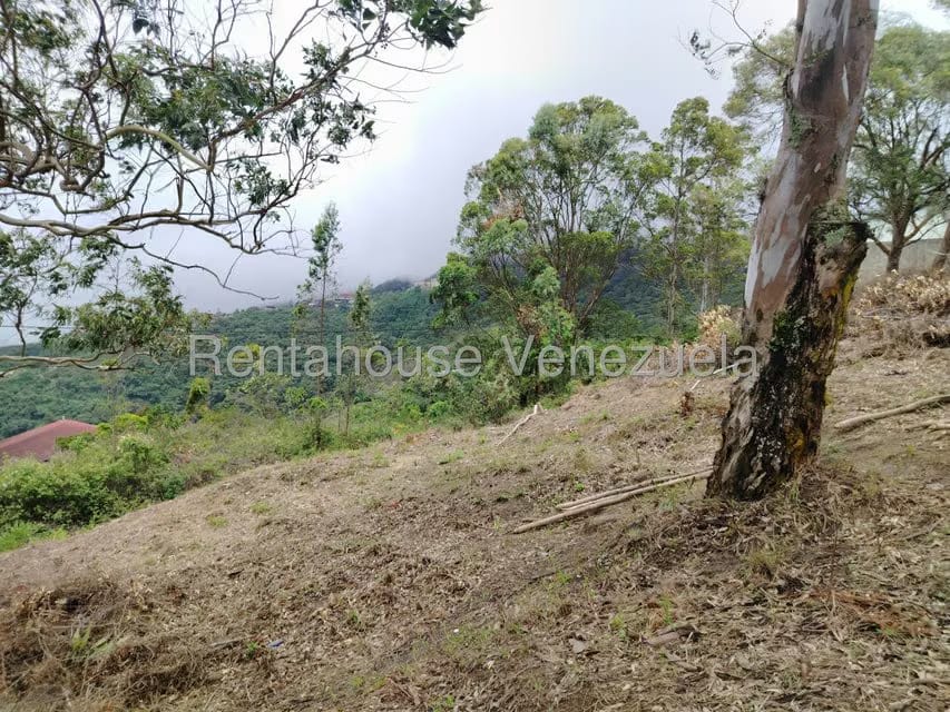 Terreno (Residencial) en Venta en El Junko Country Club, Vargas - 5