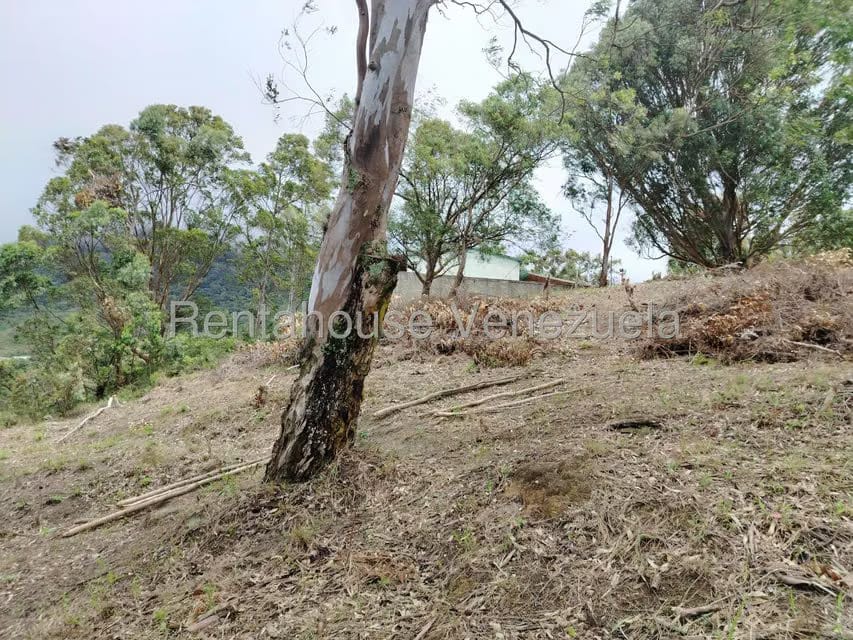 Terreno (Residencial) en Venta en El Junko Country Club, Vargas - 6