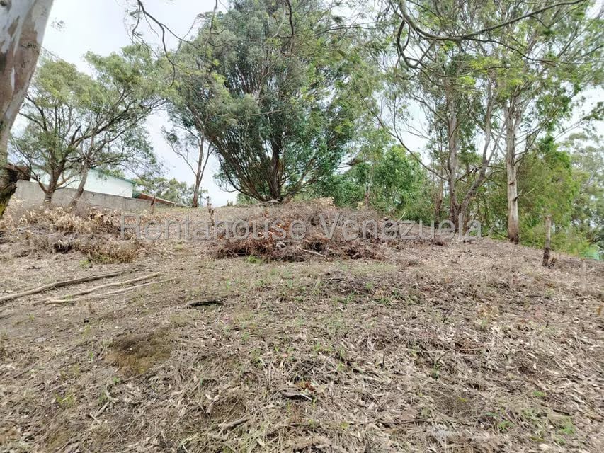Terreno (Residencial) en Venta en El Junko Country Club, Vargas - 7