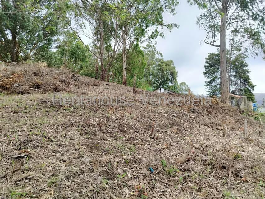 Terreno (Residencial) en Venta en El Junko Country Club, Vargas - 8