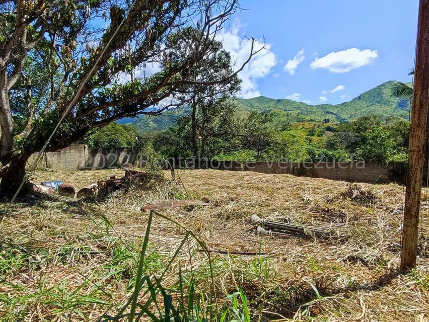 Terreno (Industrial) en Venta en Villa Virginia, Aragua - 13
