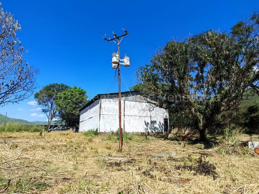 Terreno (Industrial) en Venta en Villa Virginia, Aragua - 16