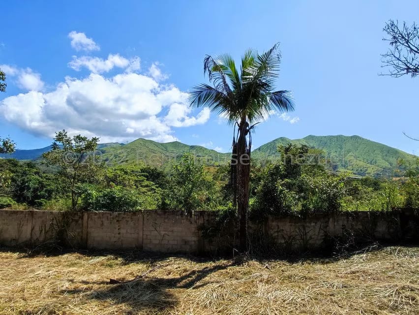 Terreno (Industrial) en Venta en Villa Virginia, Aragua - 17