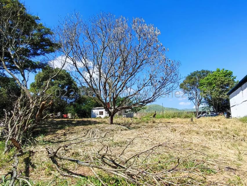 Terreno (Industrial) en Venta en Villa Virginia, Aragua - 18