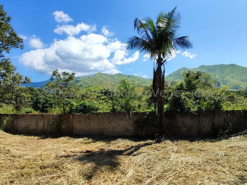 Terreno (Industrial) en Venta en Villa Virginia, Aragua - 19